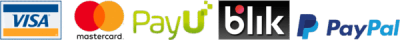Pay2-600x60